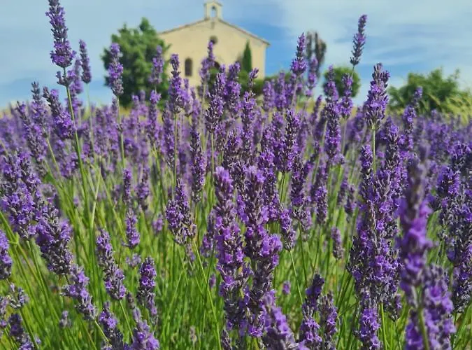 La Parenthèse Casa vacanze Entrevennes